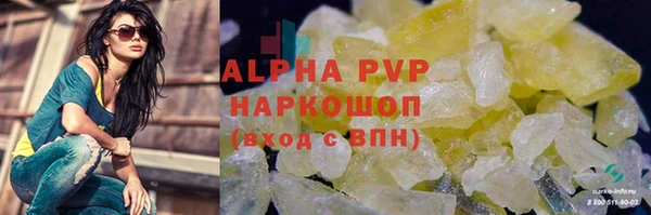 СК Коряжма