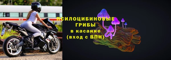 СК Коряжма