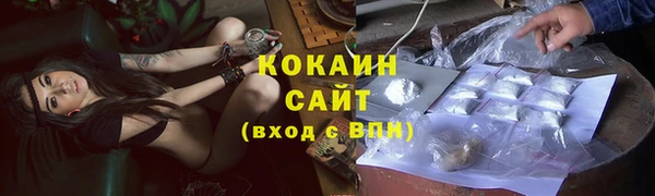СК Коряжма