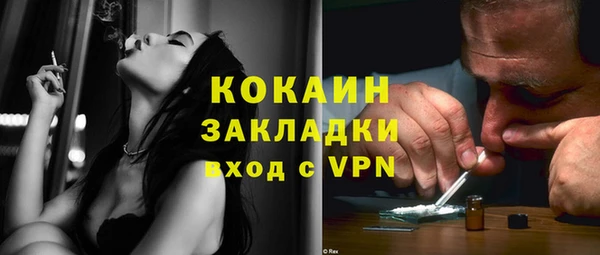 СК Коряжма