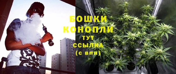 ГАЛЛЮЦИНОГЕННЫЕ ГРИБЫ Краснотурьинск