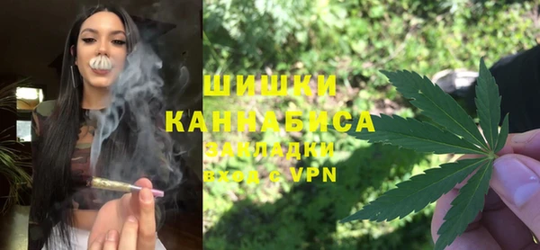 амф Краснослободск