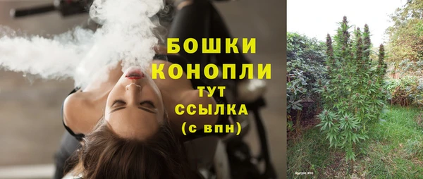 СК Коряжма