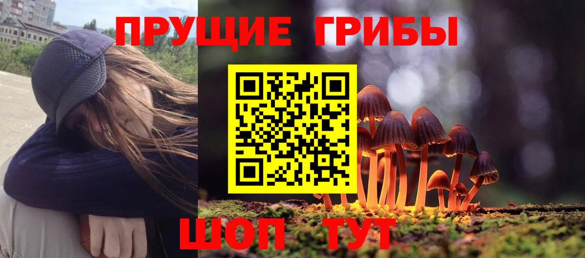 Псилоцибиновые грибы MAGIC MUSHROOMS  купить наркотики сайты  Псилоцибиновые грибы Psilocybe  Кинешма  Вход с VPN 