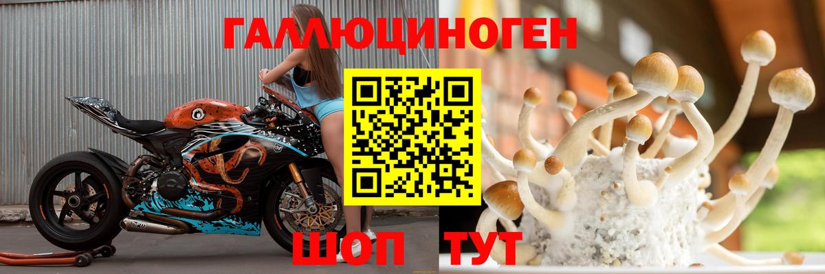 Галлюциногенные грибы MAGIC MUSHROOMS Кинешма